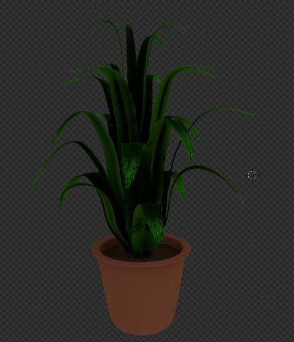 Potted clivia plant preview image